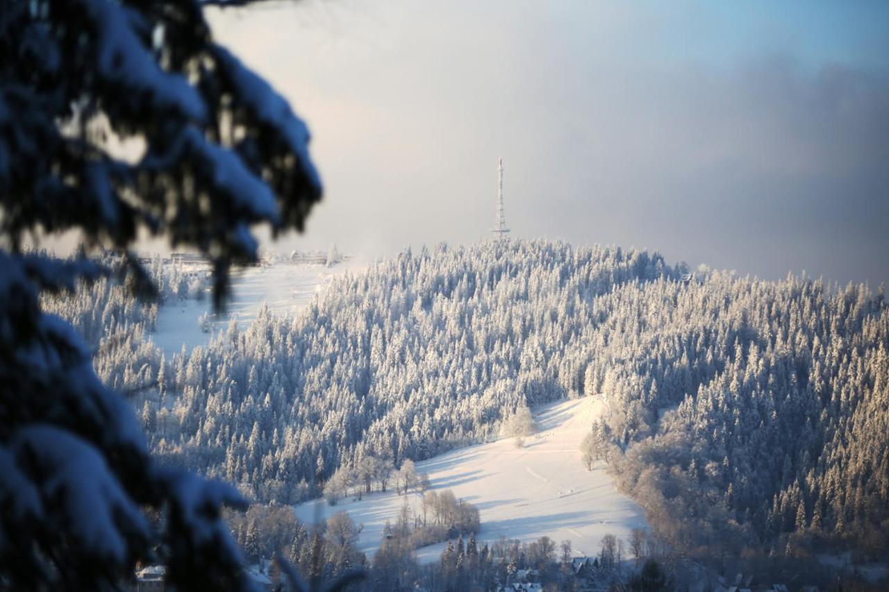 Green Deer Premium Zakopane Exterior photo