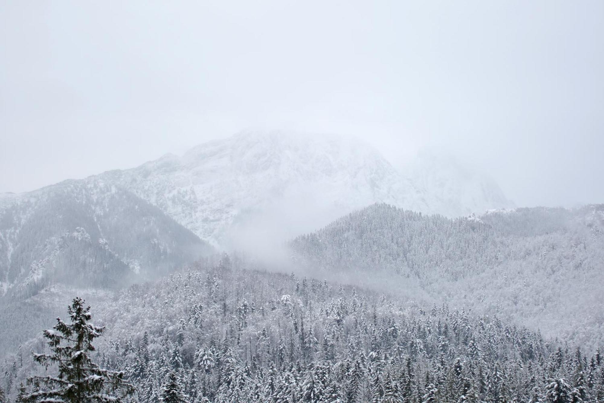 Green Deer Premium Zakopane Exterior photo